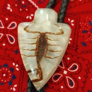 Bolo Scorpion Necktie Lariat Western Look Necklace